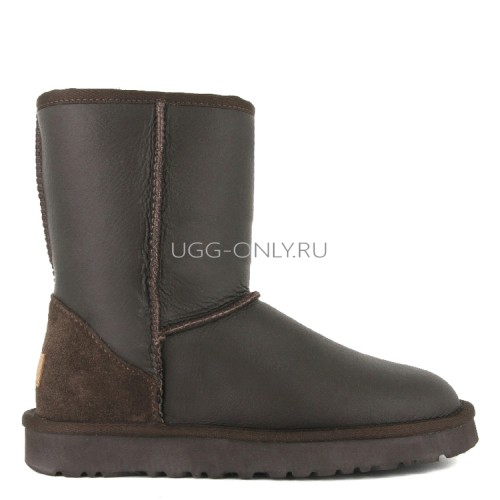 MENS Classic Short Metallic Chocolate