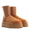 Classic Dipper Chestnut