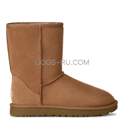 Classic Short Chestnut