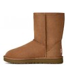 UGG Classic Short Chestnut UGG Classic Short Chestnut