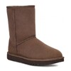 UGG Classic Short Chocolate UGG Classic Short Chocolate
