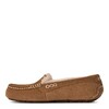 UGG Ansley Chestnut UGG Ansley Chestnut