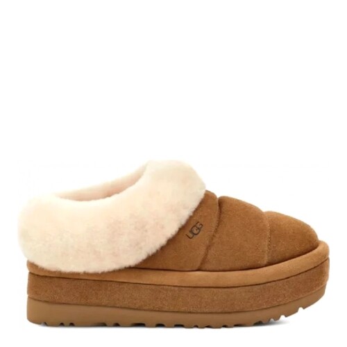 Tazzlita Chestnut