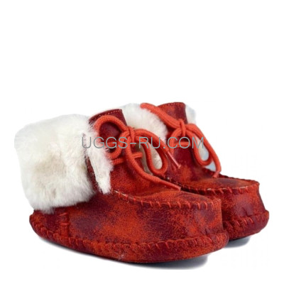 Baby Sparrow Woodland Red