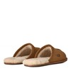 UGG Men's Scuff Chestnut UGG Men's Scuff Chestnut