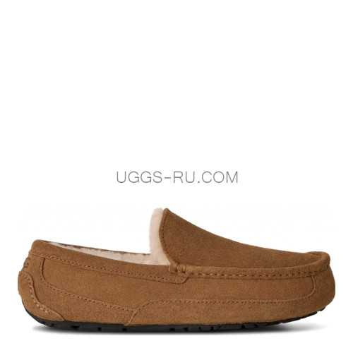 MENS Ascot Chestnut