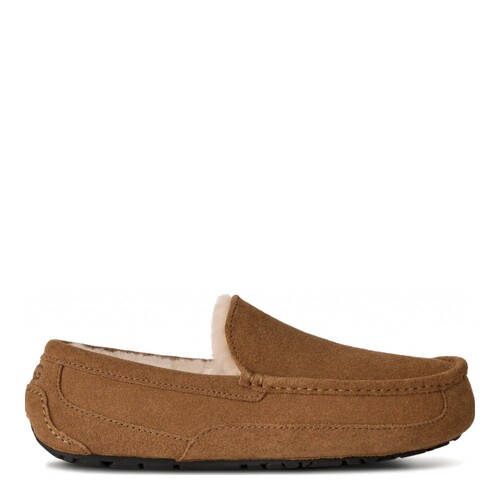 UGG Men's Ascot Chestnut