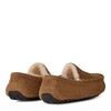 UGG Men's Ascot Chestnut UGG Men's Ascot Chestnut