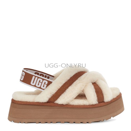 Disco Color Slide Chestnut