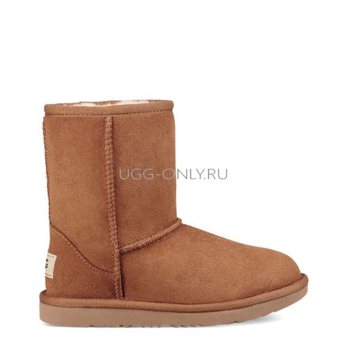 Kids Classic Short Chestnut