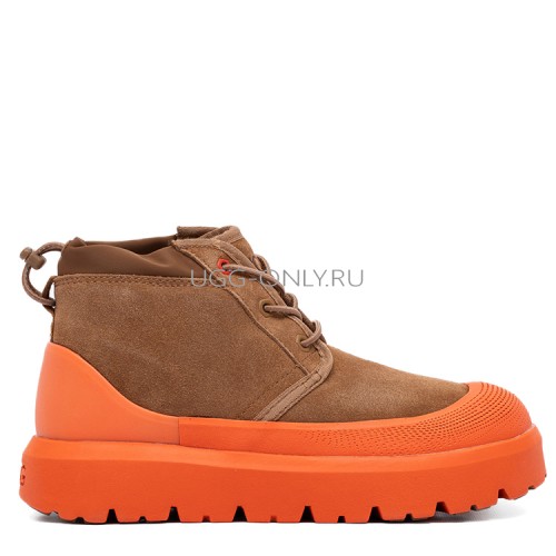 Neumel Hybrid Chestnut Orange