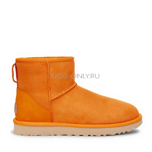 Classic Mini California Poppy